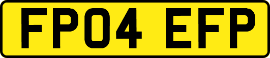 FP04EFP