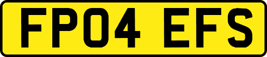FP04EFS