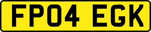 FP04EGK