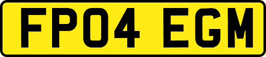 FP04EGM