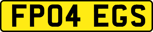 FP04EGS