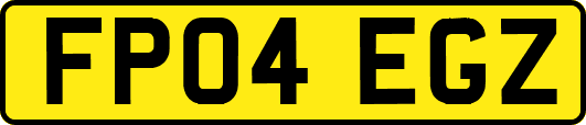 FP04EGZ