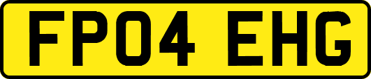 FP04EHG