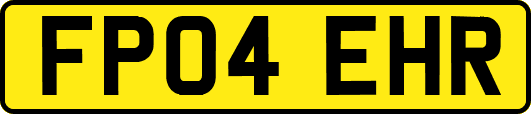 FP04EHR