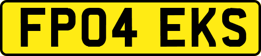 FP04EKS
