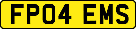 FP04EMS