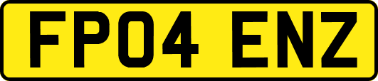 FP04ENZ