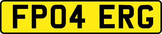 FP04ERG