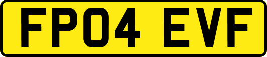 FP04EVF