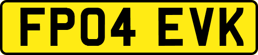 FP04EVK