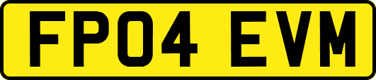 FP04EVM