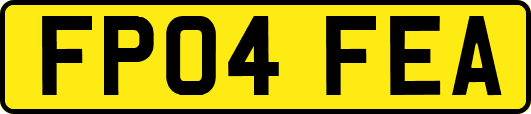 FP04FEA