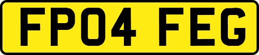 FP04FEG