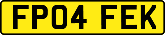 FP04FEK