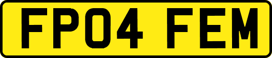 FP04FEM