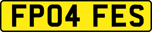FP04FES