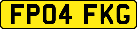 FP04FKG