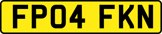 FP04FKN