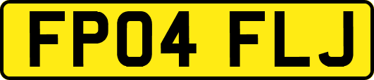 FP04FLJ