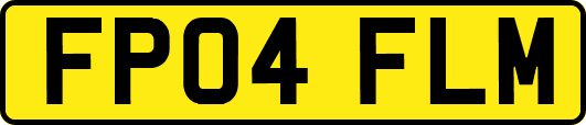 FP04FLM