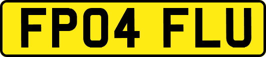 FP04FLU