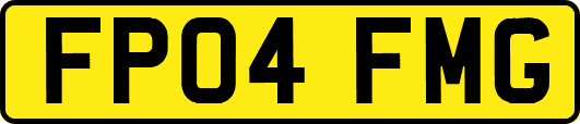 FP04FMG