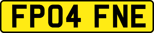 FP04FNE