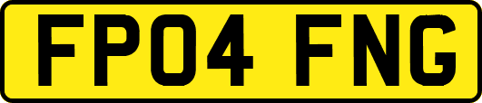 FP04FNG