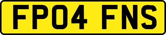 FP04FNS