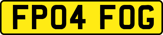 FP04FOG