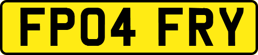 FP04FRY