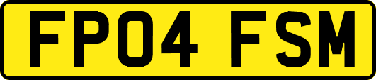 FP04FSM