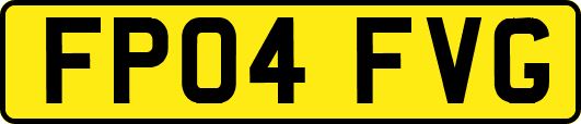 FP04FVG