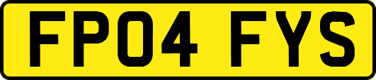 FP04FYS