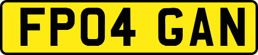 FP04GAN