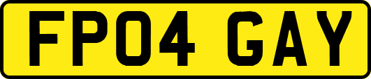 FP04GAY