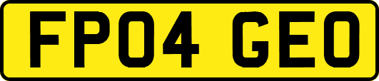 FP04GEO