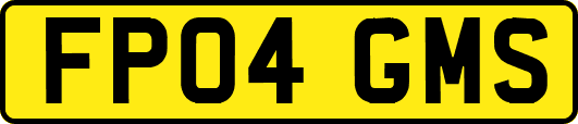 FP04GMS