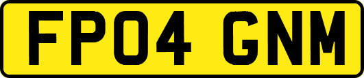 FP04GNM