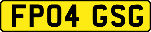 FP04GSG