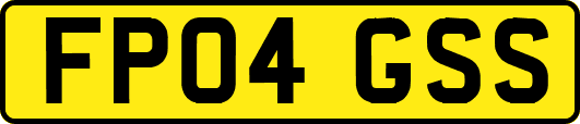FP04GSS