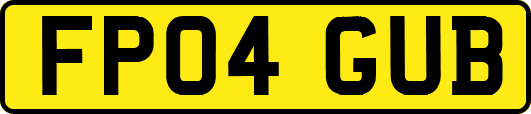 FP04GUB