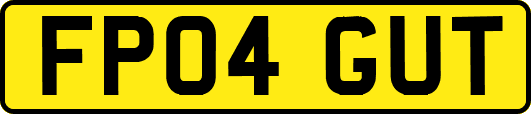 FP04GUT
