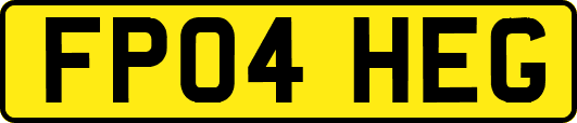 FP04HEG