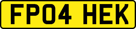 FP04HEK