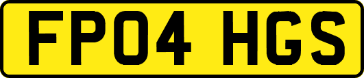 FP04HGS