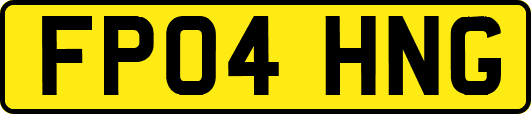 FP04HNG