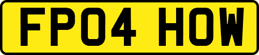 FP04HOW