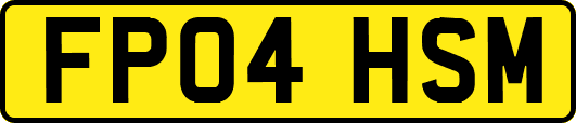 FP04HSM