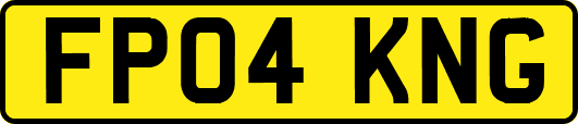 FP04KNG